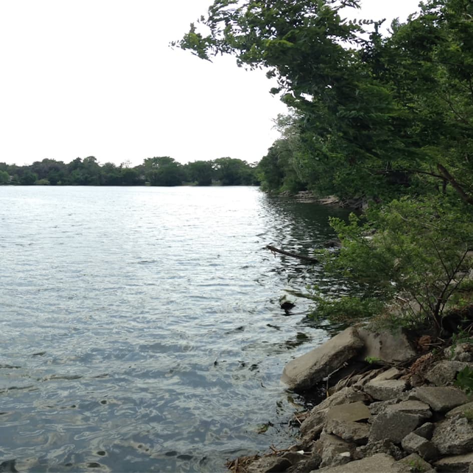 Big Lake